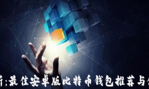 
全面解析：最佳安卓版比特币钱包推荐与使用指南