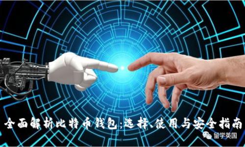 全面解析比特币钱包：选择、使用与安全指南