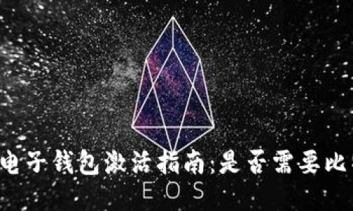 国外电子钱包激活指南：是否需要比特币？