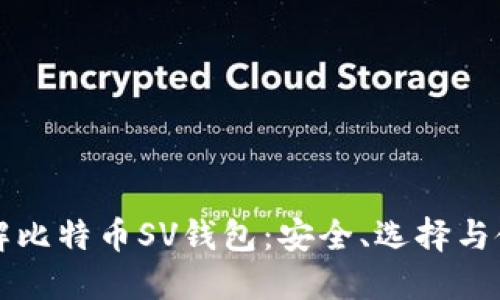 深入了解比特币SV钱包：安全、选择与使用指南