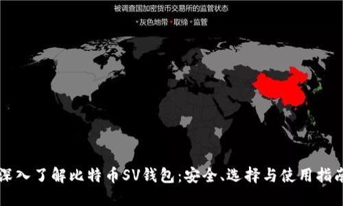 深入了解比特币SV钱包：安全、选择与使用指南