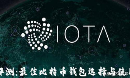 
全面评测：最佳比特币钱包选择与使用指南
