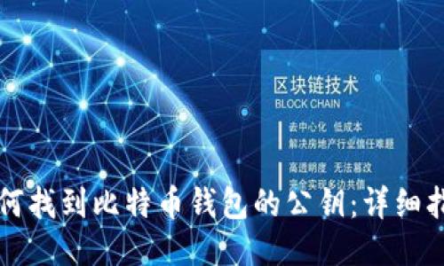 如何找到比特币钱包的公钥：详细指南