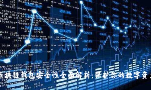区块链钱包安全性全面解析：保护你的数字资产