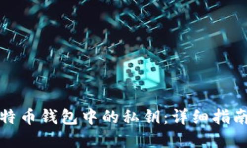 如何找回比特币钱包中的私钥：详细指南与解决方案