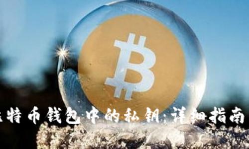 如何找回比特币钱包中的私钥：详细指南与解决方案