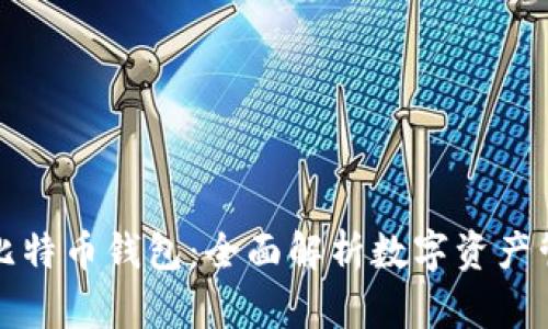 支付宝比特币钱包：全面解析数字资产管理工具