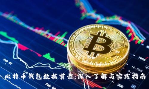 比特币钱包数据剪裁：深入了解与实践指南