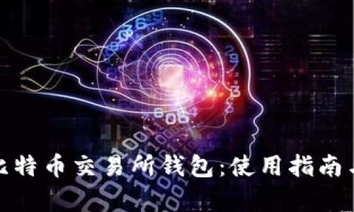 全面解析比特币交易所钱包：使用指南与安全建议