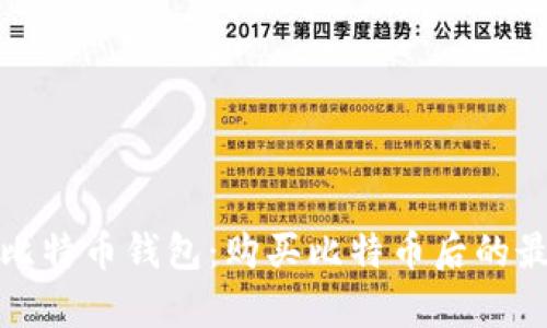选择合适的比特币钱包：购买比特币后的最佳存储方案