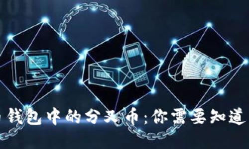比特币钱包中的分叉币：你需要知道的一切