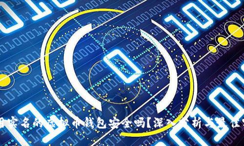 不用实名的虚拟币钱包安全吗？深入分析与最佳实践
