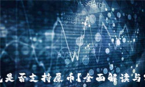   
货币钱包是否支持屎币？全面解读与实用指南