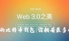 全球最大的比特币钱包：