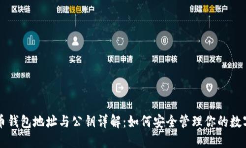 比特币钱包地址与公钥详解：如何安全管理你的数字资产