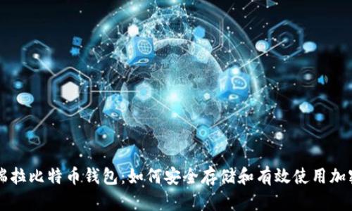 委内瑞拉比特币钱包：如何安全存储和有效使用加密货币