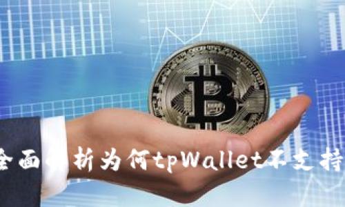 tpWallet与Uniswap：全面解析为何tpWallet不支持Uniswap及其替代方案