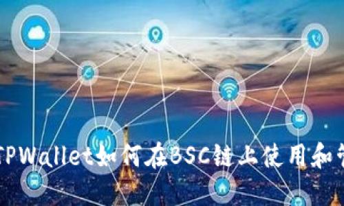电脑版TPWallet如何在BSC链上使用和管理资产
