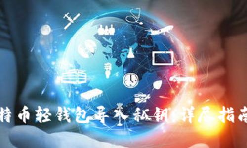 如何使用比特币轻钱包导入私钥：详尽指南与实用技巧