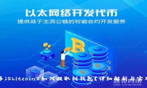 : 屎币（Shitcoin）如何提取到钱包？详细解析与实用指南