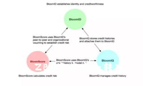 ### 如何将 ZB 资产安全转入 TP Wallet