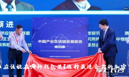 加密货币应该放在哪种钱包里？选择最适合你的加密货币钱包