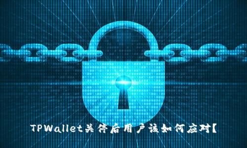 TPWallet关停后用户该如何应对？