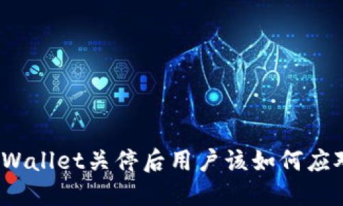 TPWallet关停后用户该如何应对？