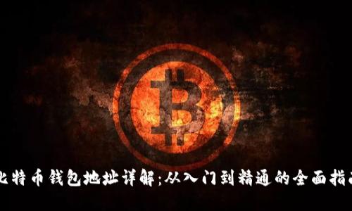 比特币钱包地址详解：从入门到精通的全面指南