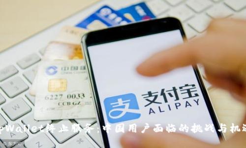 tpWallet终止服务：中国用户面临的挑战与机遇