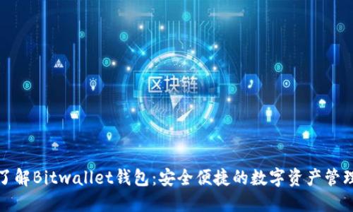 全面了解Bitwallet钱包：安全便捷的数字资产管理工具