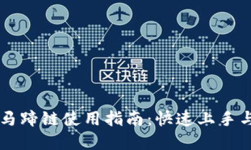 tpWallet马蹄链使用指南：快速上手与技巧分享
