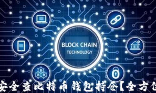 
如何安全查比特币钱包持仓？全方位指南