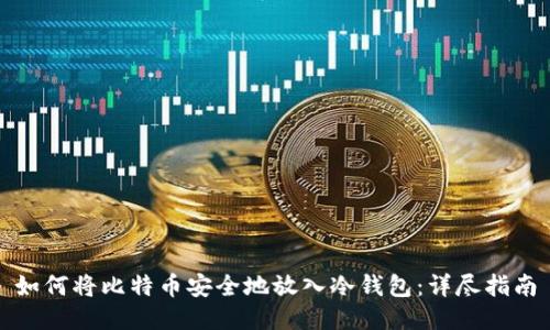 如何将比特币安全地放入冷钱包：详尽指南