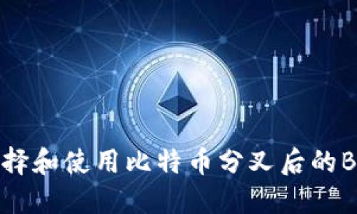 如何选择和使用比特币分叉后的BTG钱包
