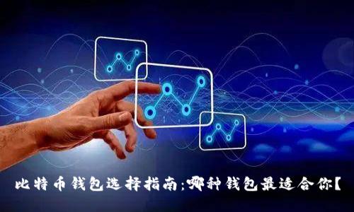 比特币钱包选择指南：哪种钱包最适合你？