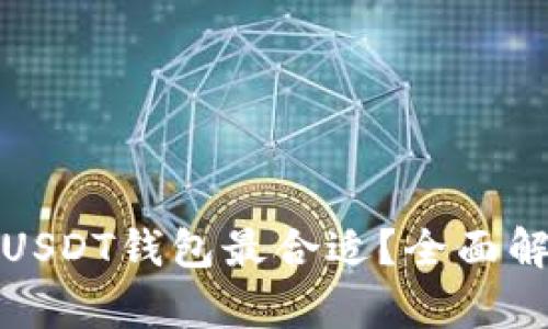 选择哪种USDT钱包最合适？全面解析与推荐