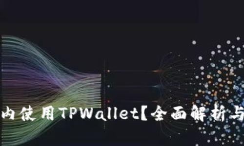 如何在国内使用TPWallet？全面解析与解决方案