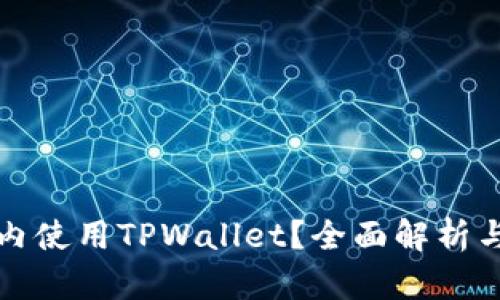如何在国内使用TPWallet？全面解析与解决方案