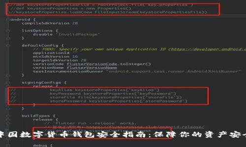 中国数字货币钱包安全指南：保障你的资产安全
