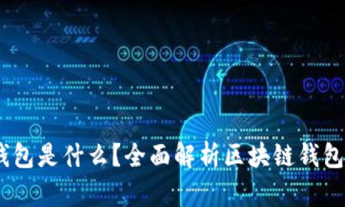 biasi区块链钱包是什么？全面解析区块链钱包的原理与应用