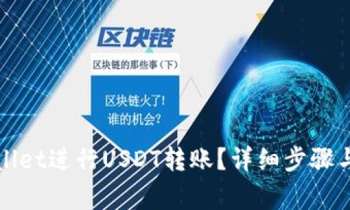 如何使用tpWallet进行USDT转账？详细步骤与注意事项揭秘