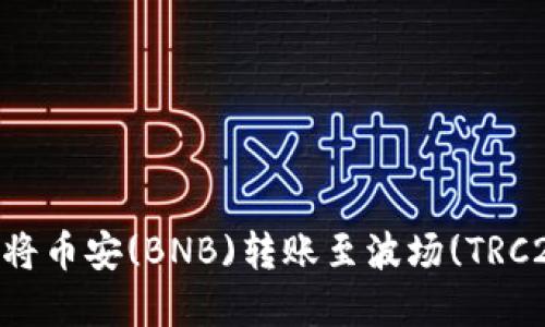 如何在TPWallet中将币安(BNB)转账至波场(TRC20)网络的全面指南