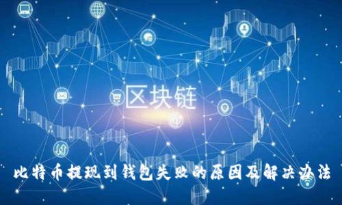 比特币提现到钱包失败的原因及解决办法