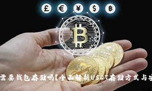 USDT需要钱包存储吗？全面解析USDT存储方式与安全性