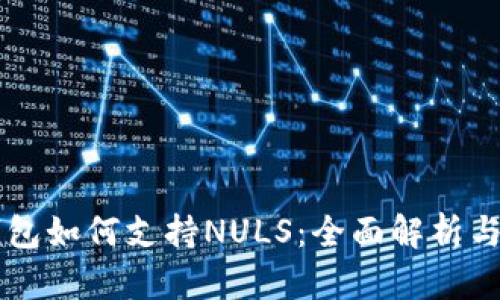以太坊钱包如何支持NULS：全面解析与使用指南