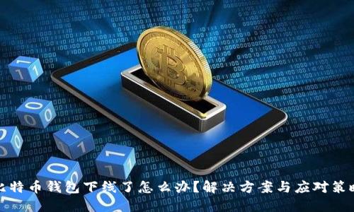 比特币钱包下线了怎么办？解决方案与应对策略